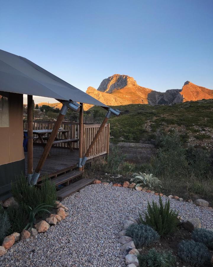 Can Elisa Safari Tent Tárbena 外观 照片
